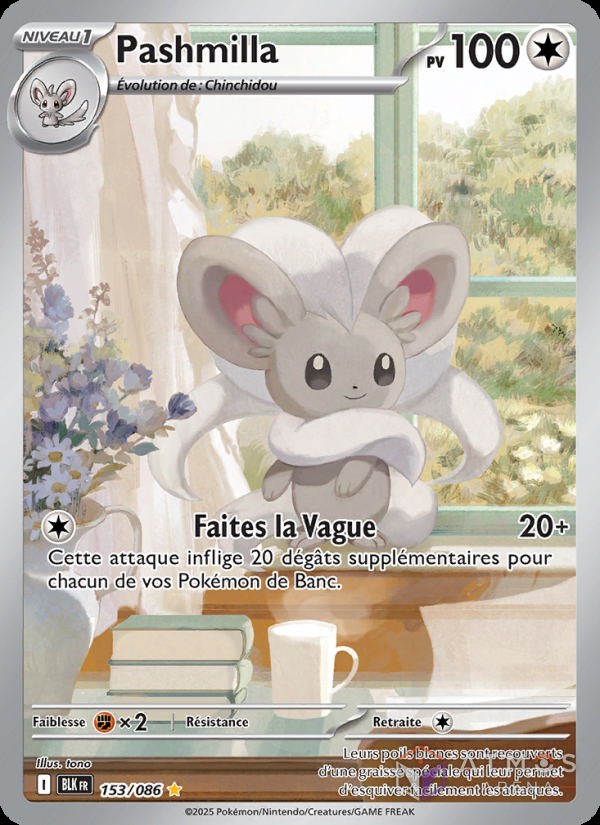 FR - Pashmilla (BLK 153) [MINT]
